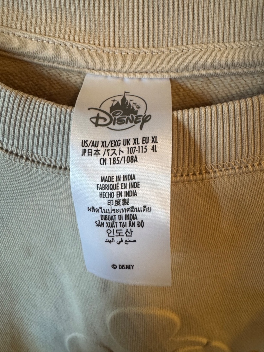 Tan Monochromatic Disneyland Sweatshirt - Picture 2 of 2